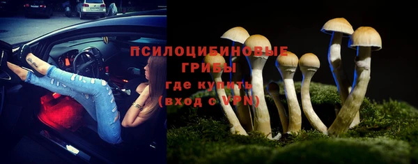 гидра Костерёво