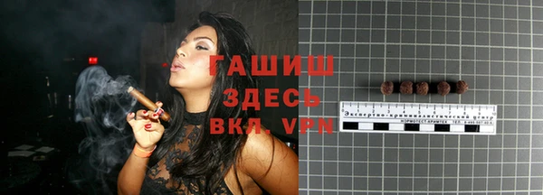 гидра Костерёво