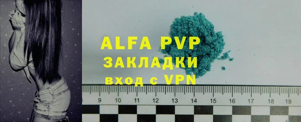 крисы Коряжма