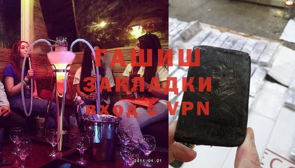 крисы Коряжма