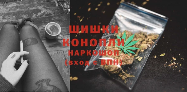гидра Костерёво