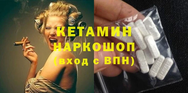крисы Коряжма