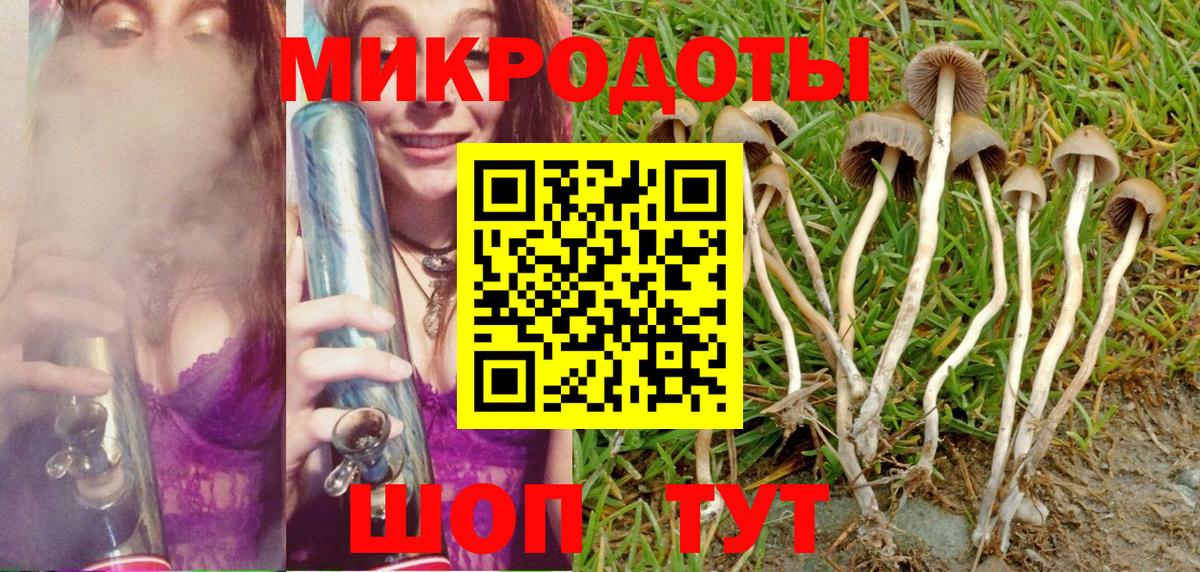 Петропавловск-Камчатский  Псилоцибиновые грибы мицелий  Вход с VPN 