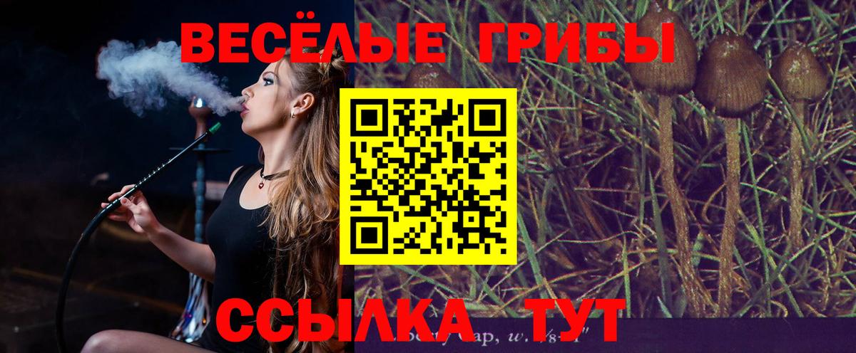 Галлюциногенные грибы Psilocybine cubensis Петропавловск-Камчатский