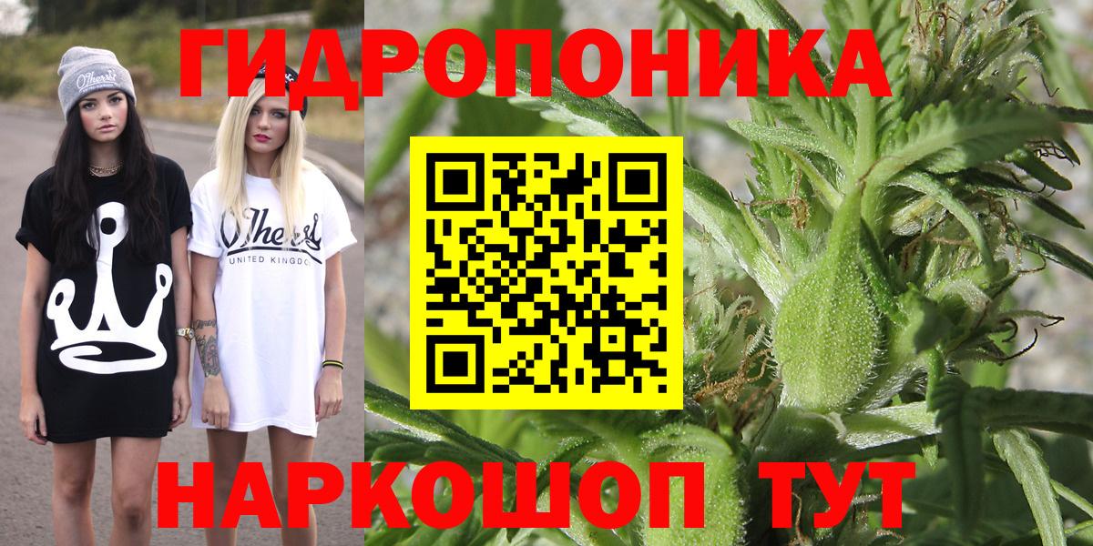 Codein Петропавловск-Камчатский